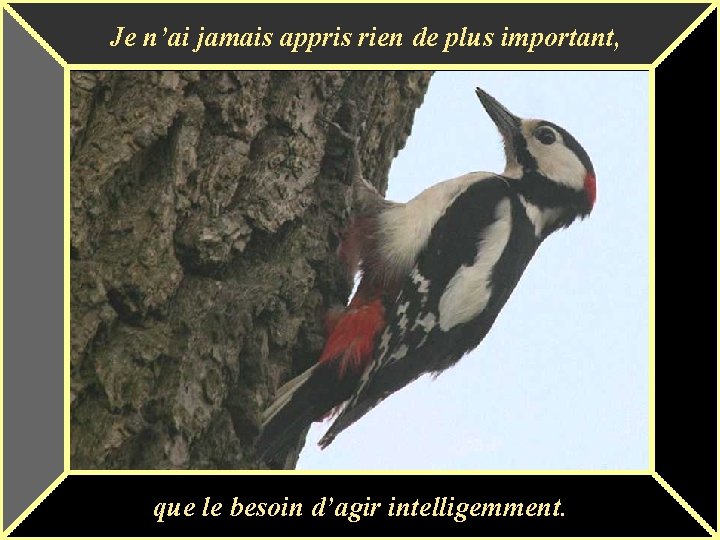 Je n’ai jamais appris rien de plus important, que le besoin d’agir intelligemment. 