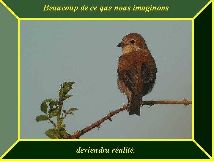 Beaucoup de ce que nous imaginons deviendra réalité. 