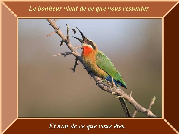 Le bonheur vient de ce que vous ressentez Et non de ce que vous