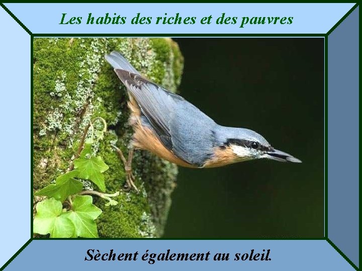 Les habits des riches et des pauvres Sèchent également au soleil. 