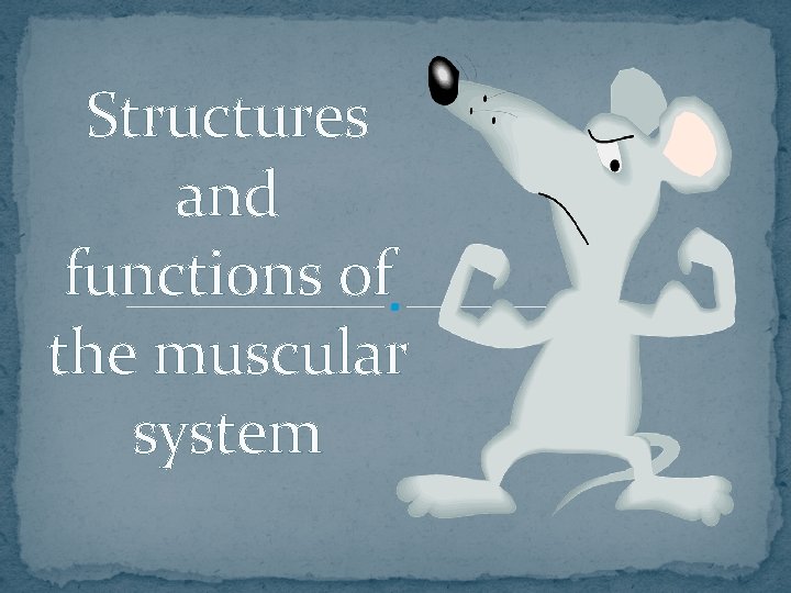 Structures and functions of the muscular system 