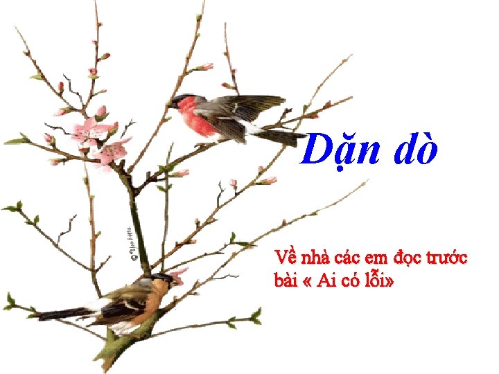 Dặn dò Về nhà các em đọc trước bài « Ai có lỗi» 