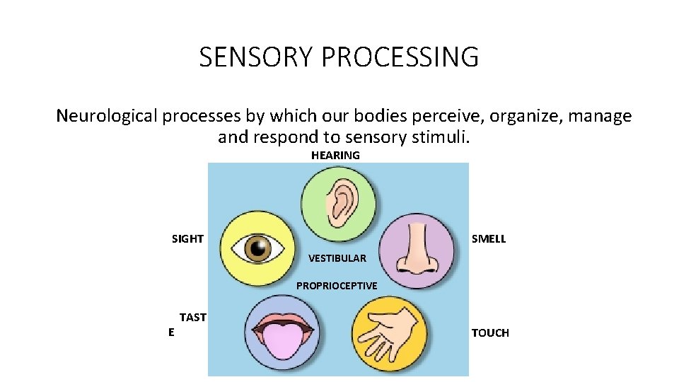 SENSORY PROCESSING Neurological processes by which our bodies perceive, organize, manage and respond to