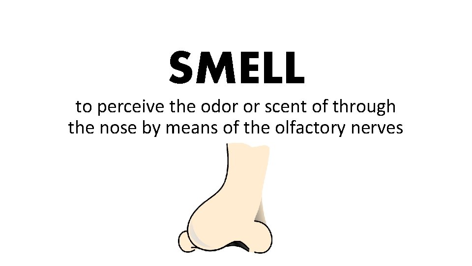 SMELL to perceive the odor or scent of through the nose by means of