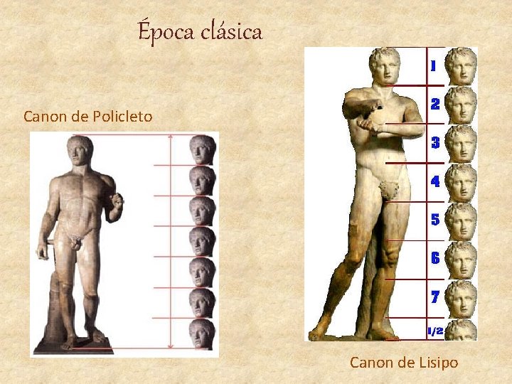 Época clásica Canon de Policleto Canon de Lisipo 
