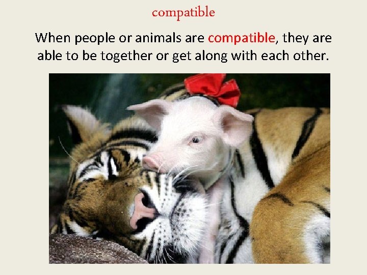 compatible When people or animals are compatible, they are able to be together or