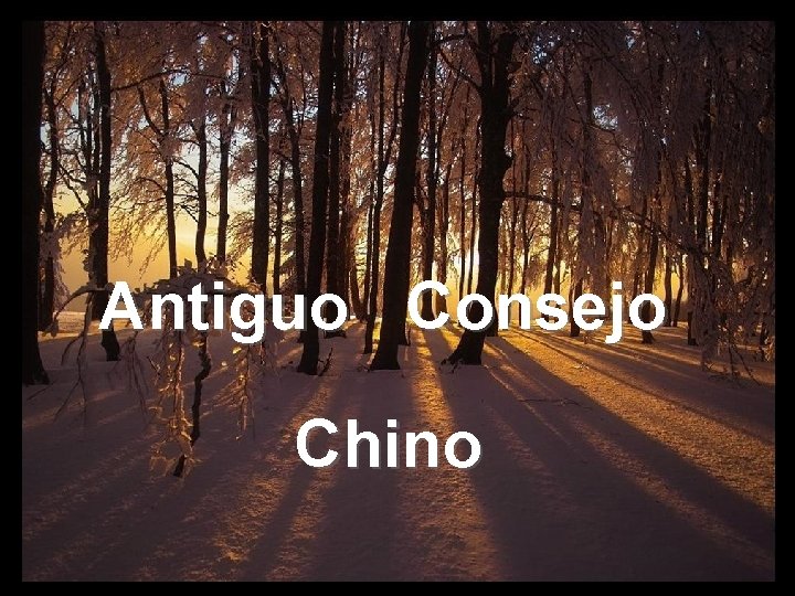 Antiguo Consejo Chino 