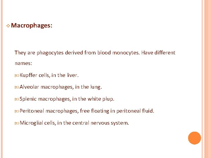 v. Macrophages: They are phagocytes derived from blood monocytes. Have different names: Kupffer cells,