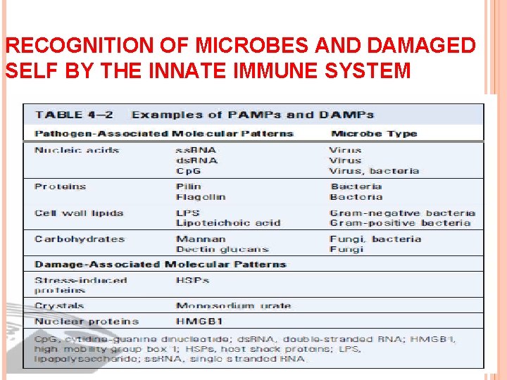 RECOGNITION OF MICROBES AND DAMAGED SELF BY THE INNATE IMMUNE SYSTEM 