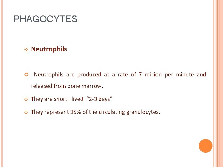 PHAGOCYTES v Neutrophils are produced at a rate of 7 million per minute and