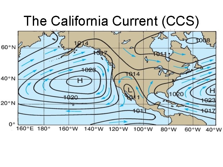 The California Current (CCS) 