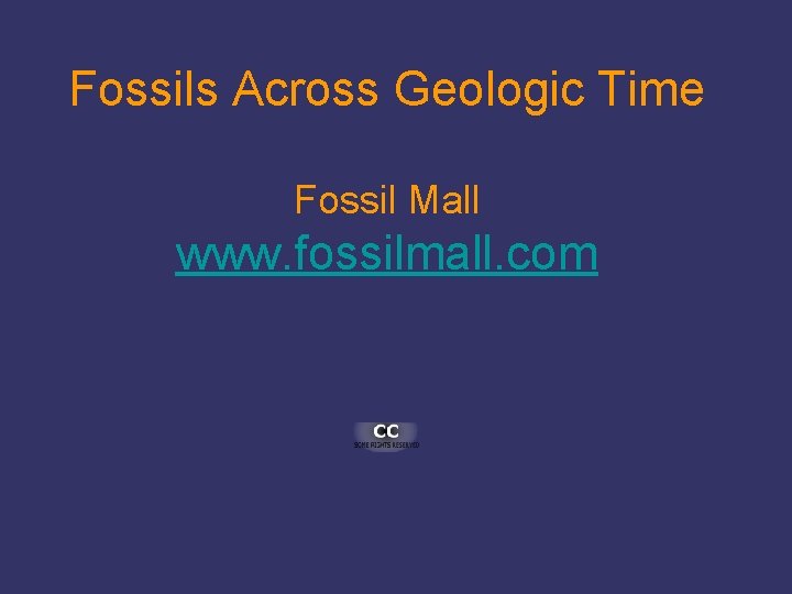 Fossils Across Geologic Time Fossil Mall www. fossilmall. com 