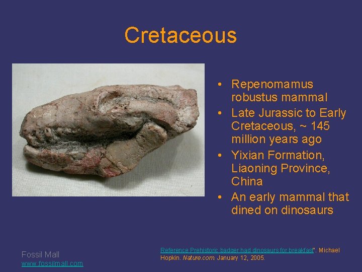 Cretaceous • Repenomamus robustus mammal • Late Jurassic to Early Cretaceous, ~ 145 million