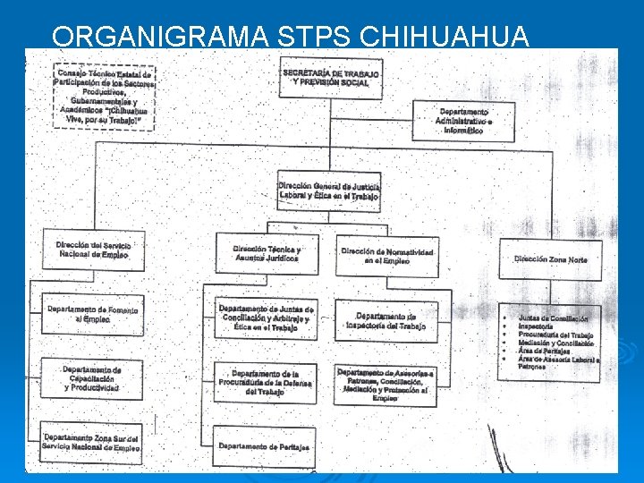 ORGANIGRAMA STPS CHIHUAHUA 