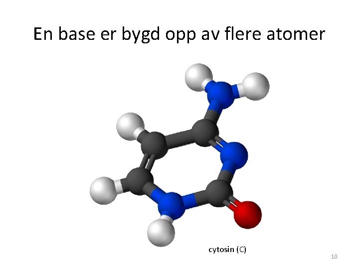 En base er bygd opp av flere atomer cytosin (C) 10 