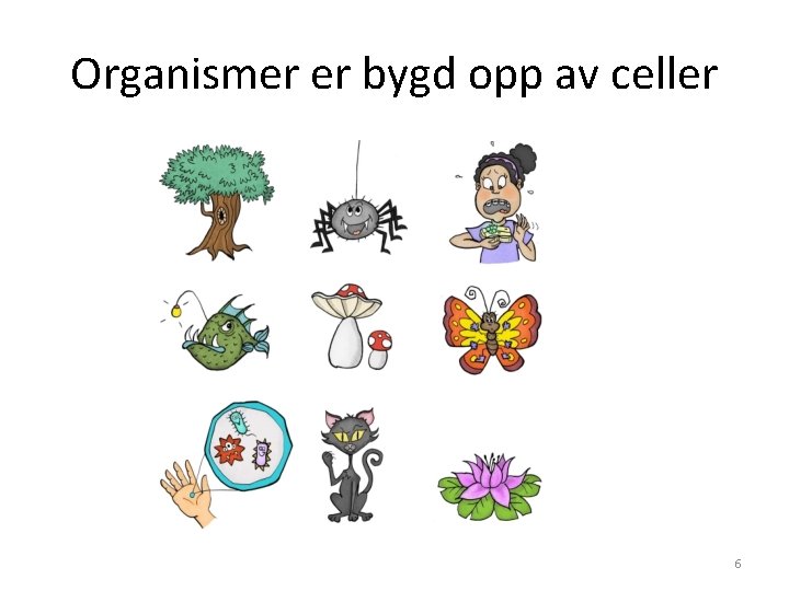 Organismer er bygd opp av celler 6 Organismer er bygd opp av celler 6
