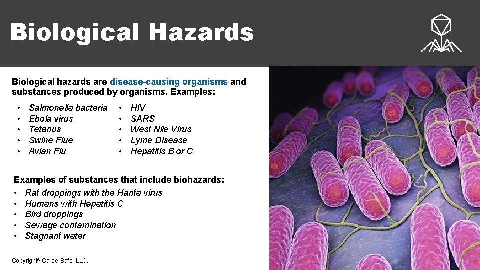 Health Hazards in Construction OSHA 10 Hour Construction