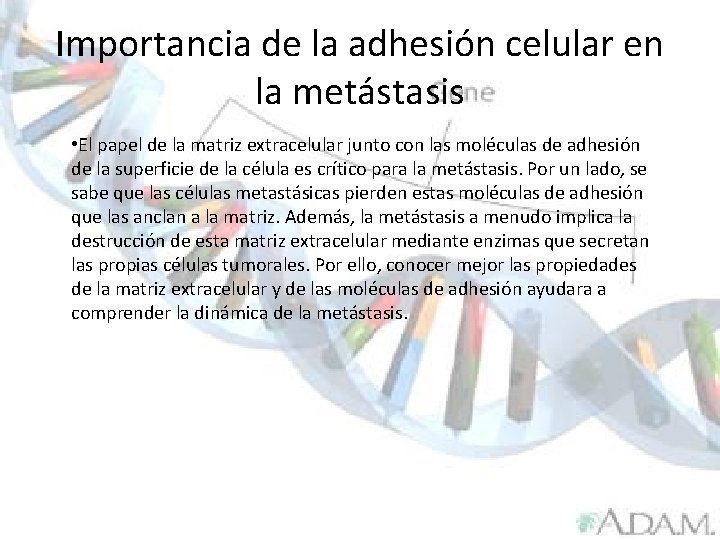 Importancia de la adhesión celular en la metástasis • El papel de la matriz