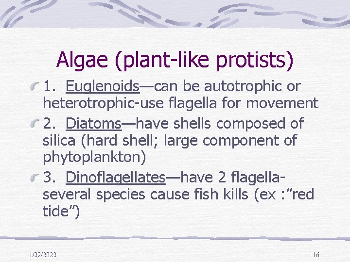 Algae (plant-like protists) 1. Euglenoids—can be autotrophic or heterotrophic-use flagella for movement 2. Diatoms—have