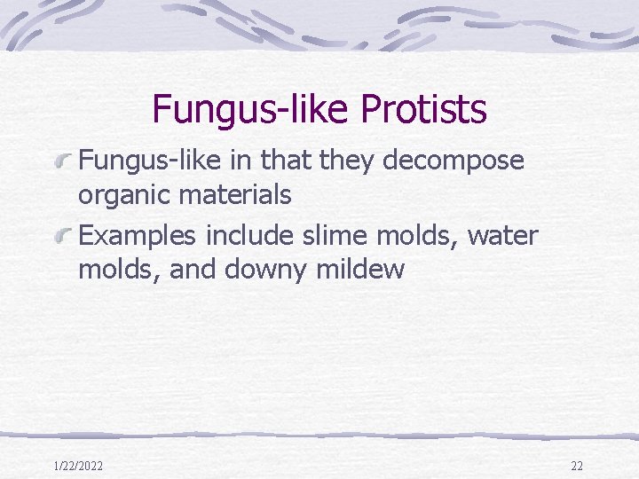 Fungus-like Protists Fungus-like in that they decompose organic materials Examples include slime molds, water