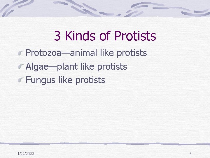 3 Kinds of Protists Protozoa—animal like protists Algae—plant like protists Fungus like protists 1/22/2022