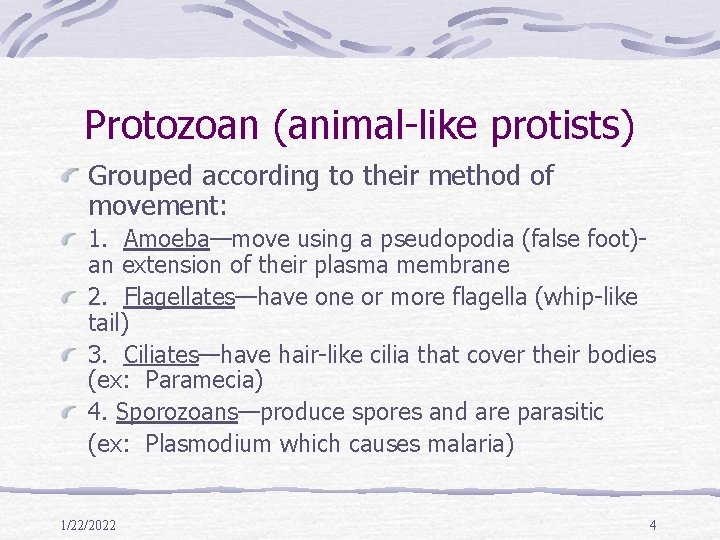 Protozoan (animal-like protists) Grouped according to their method of movement: 1. Amoeba—move using a