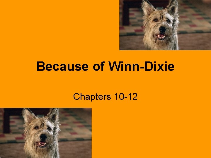 Because of Winn-Dixie Chapters 10 -12 