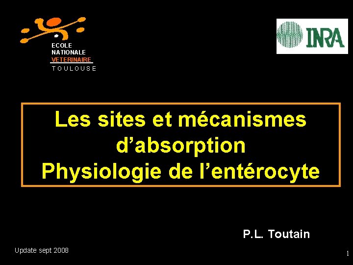 ECOLE NATIONALE VETERINAIRE TOULOUSE Les sites et mécanismes d’absorption Physiologie de l’entérocyte P. L.