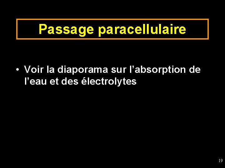 Passage paracellulaire • Voir la diaporama sur l’absorption de l’eau et des électrolytes 19