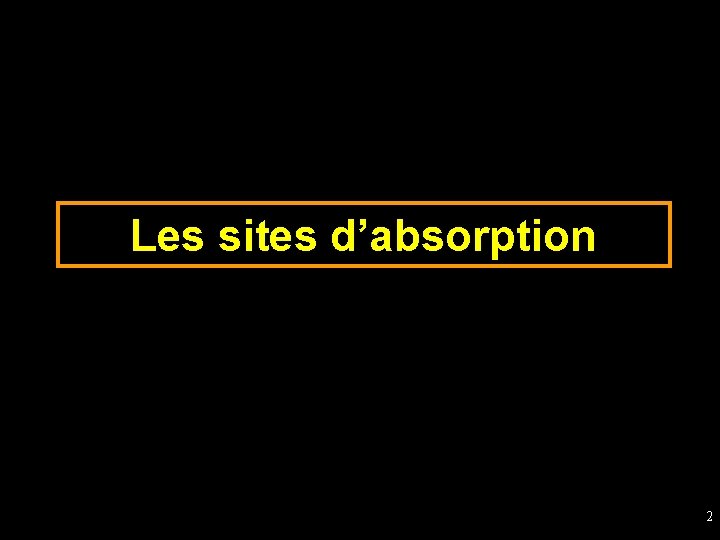 Les sites d’absorption 2 