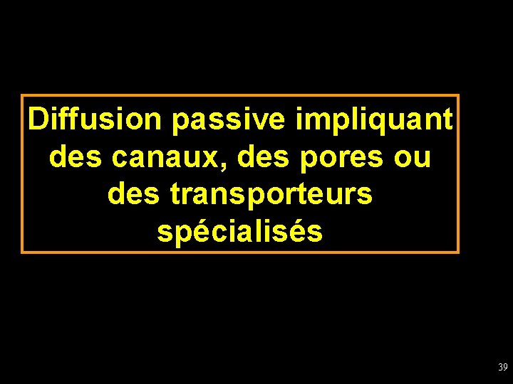 Diffusion passive impliquant des canaux, des pores ou des transporteurs spécialisés 39 