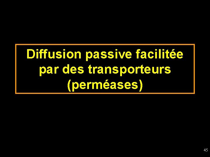 Diffusion passive facilitée par des transporteurs (perméases) 45 