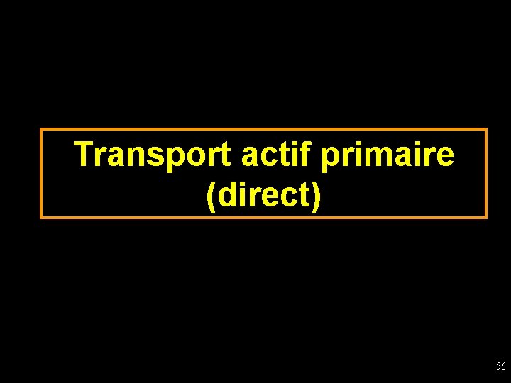Transport actif primaire (direct) 56 