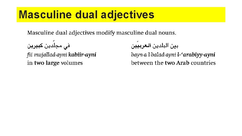 Masculine dual adjectives Masculine dual adjectives
