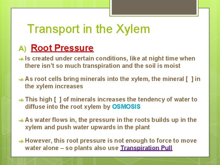 Transport in the Xylem A) Root Pressure Is created under certain conditions, like at