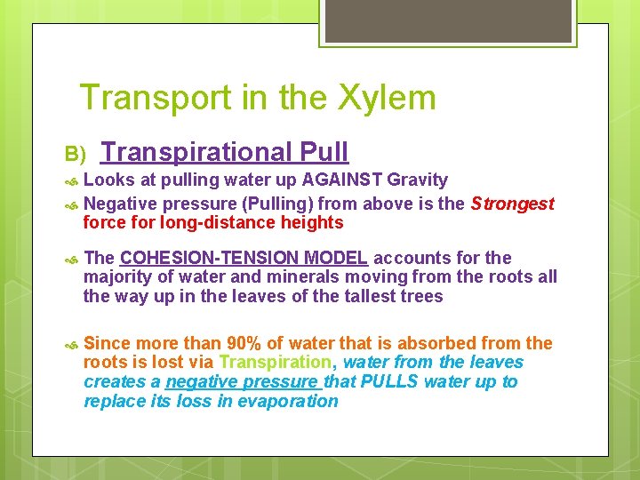 Transport in the Xylem B) Transpirational Pull Looks at pulling water up AGAINST Gravity