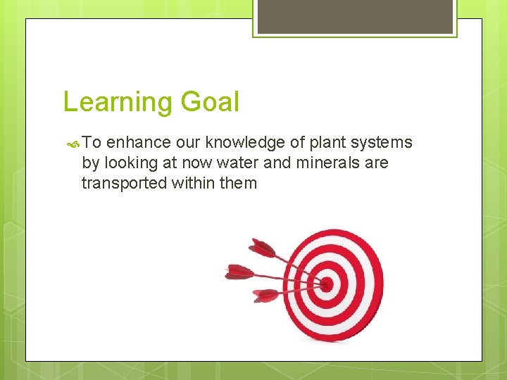 Learning Goal To enhance our knowledge of plant systems by looking at now water