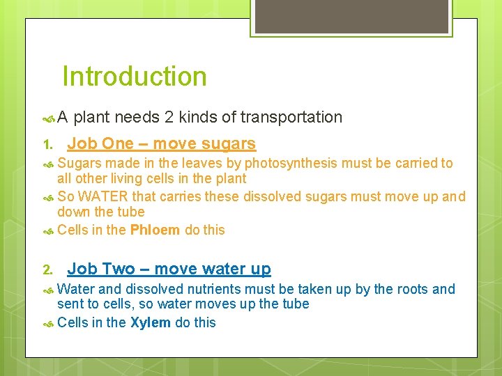 Introduction A 1. plant needs 2 kinds of transportation Job One – move sugars