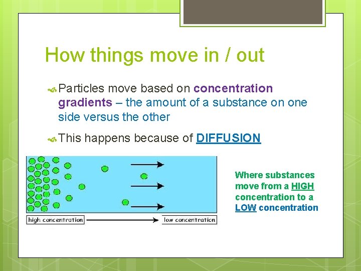 How things move in / out Particles move based on concentration gradients – the
