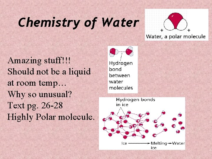 Chemistry of Water Amazing stuff!!! Should not be a liquid at room temp… Why