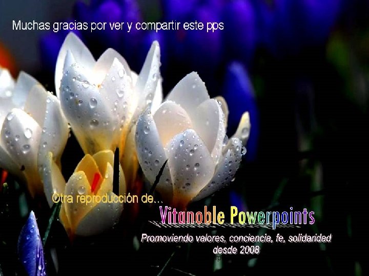 https: //www. vitanoblepowerpoints. net https: //www. vitanoblepowerpoints. net