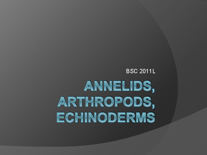 BSC 2011 L ANNELIDS, ARTHROPODS, ECHINODERMS 