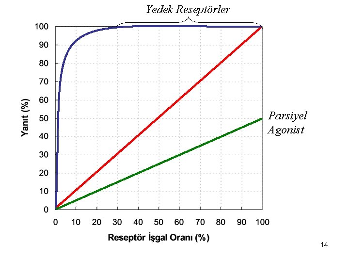 Yedek Reseptörler Parsiyel Agonist 14 