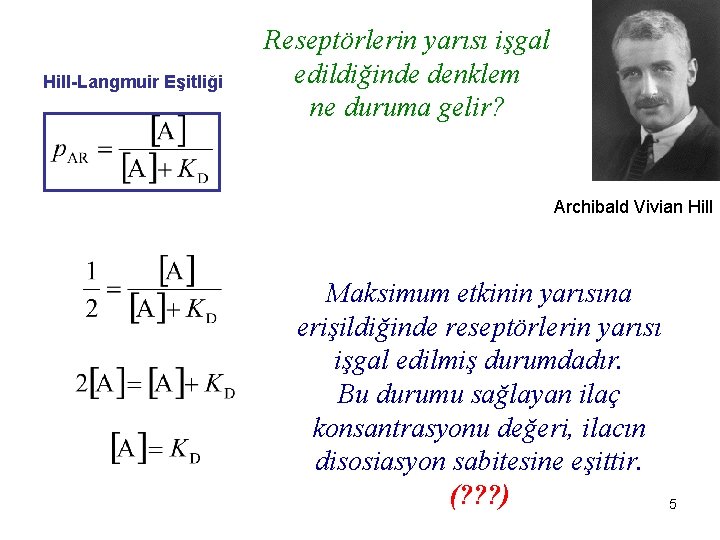 Hill-Langmuir Eşitliği Reseptörlerin yarısı işgal edildiğinde denklem ne duruma gelir? Archibald Vivian Hill Maksimum