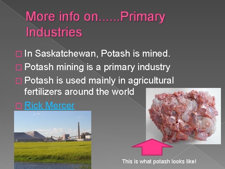 More info on. . . Primary Industries � In Saskatchewan, Potash is mined. �