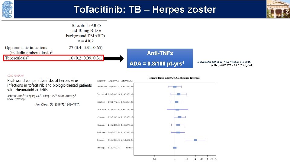 OUTLINE TB – Herpes zoster Τofacitinib: Anti-TNFs ADA = 0. 3/100 pt-yrs 1 1