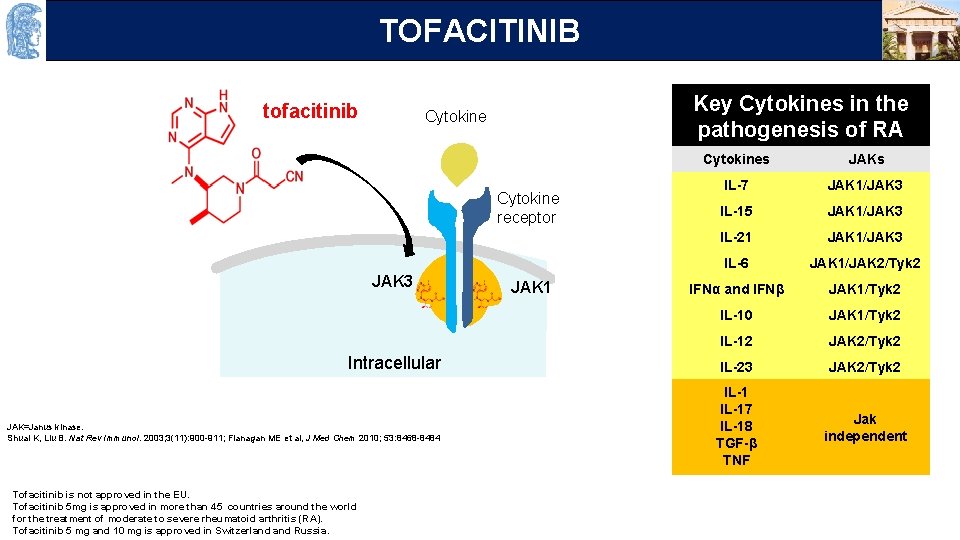 OUTLINE TOFACITINIB tofacitinib Key Cytokines in the pathogenesis of RA Cytokine γc Cytokine receptor