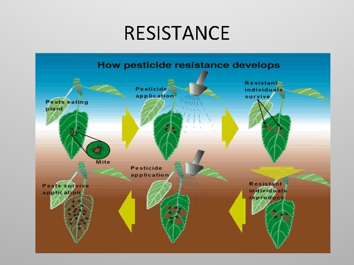 RESISTANCE RESISTANCE