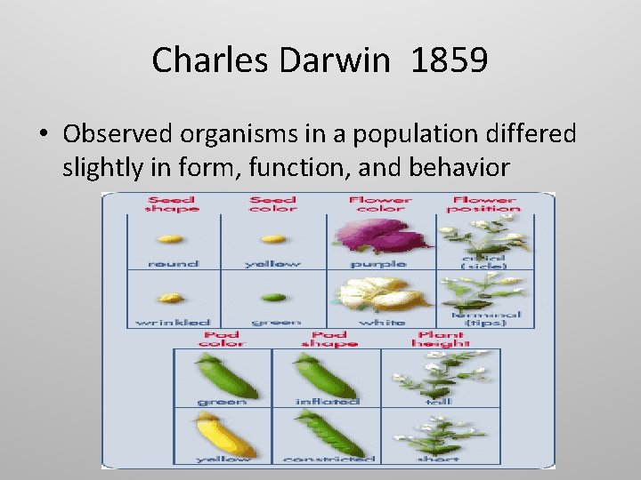 Charles Darwin 1859 • Observed organisms in a population differed slightly in form, function, Charles Darwin 1859 • Observed organisms in a population differed slightly in form, function,