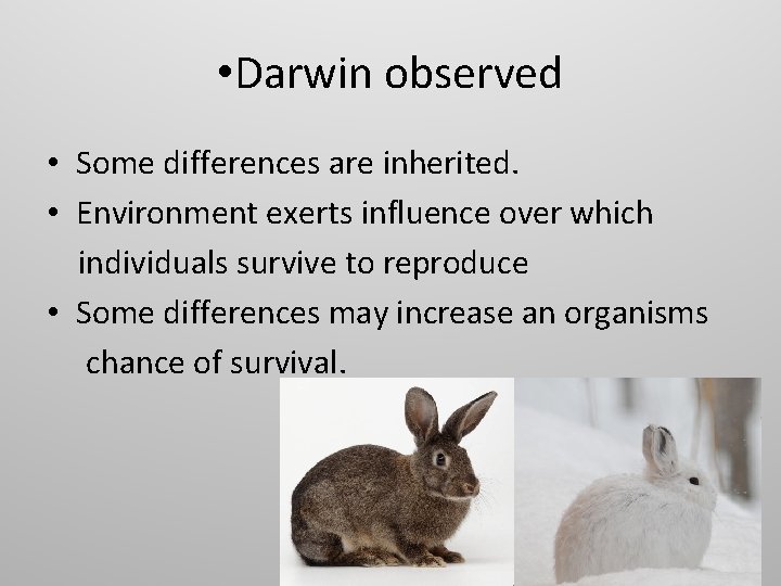 • Darwin observed • Some differences are inherited. • Environment exerts influence over • Darwin observed • Some differences are inherited. • Environment exerts influence over